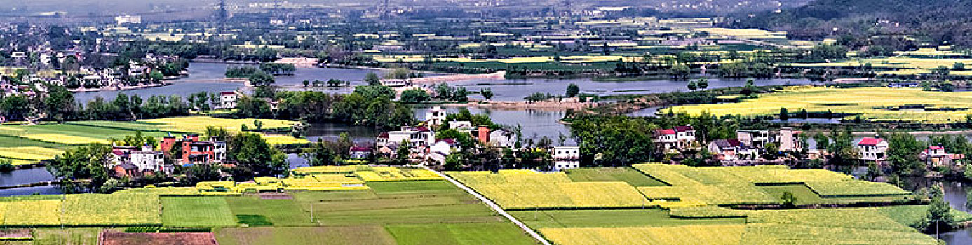 cau bạch thu xsmb