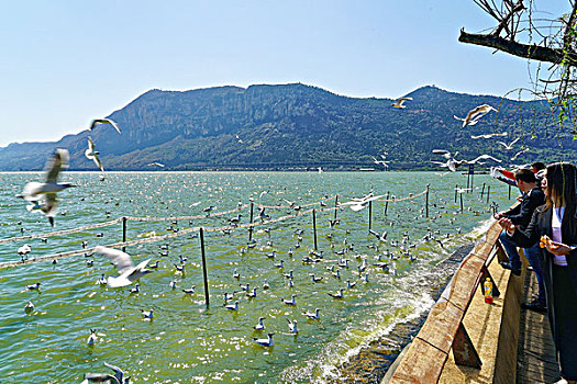 thần tài lô đề