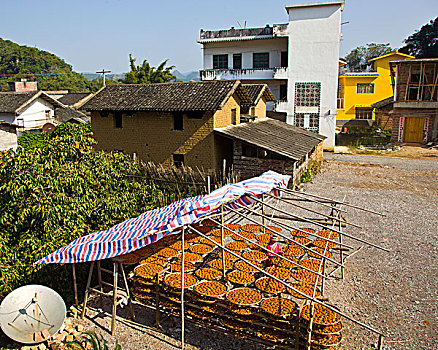 du doan xo so mien nam chinh xac