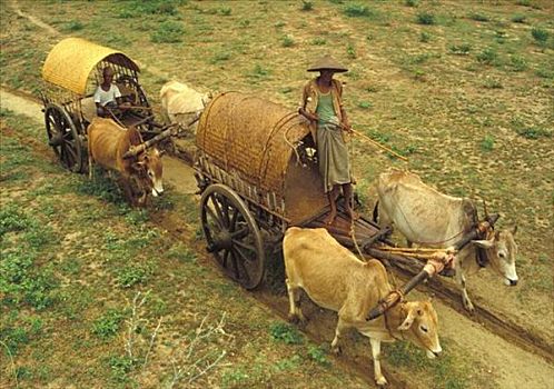 xổ số trực tiếp 3 miền