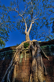 xsmn thứ 4