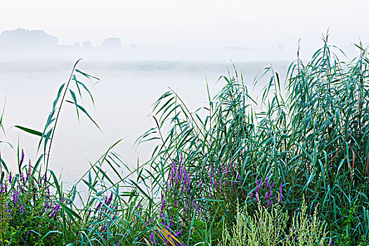quay thử xổ số gia lai