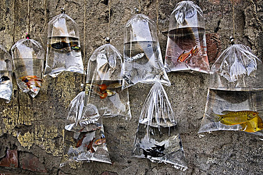 xổ số miền bắc 2