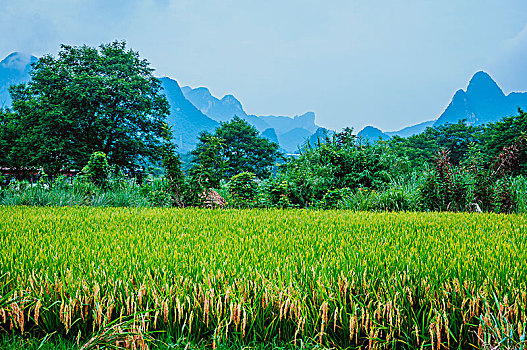 dò xổ số miền nam