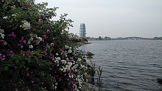 soi lô kép miễn phí