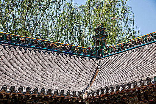 rong vang bach kim xsmb