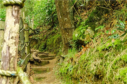cầu bạch thủ thành phố