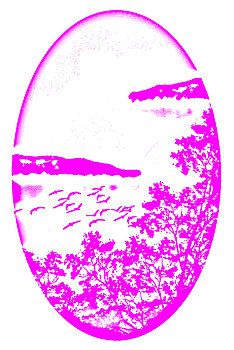 cầu bạch thủ lô hôm nay