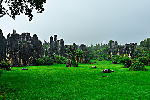 soi cầu 888