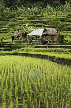 minh ngoc mb