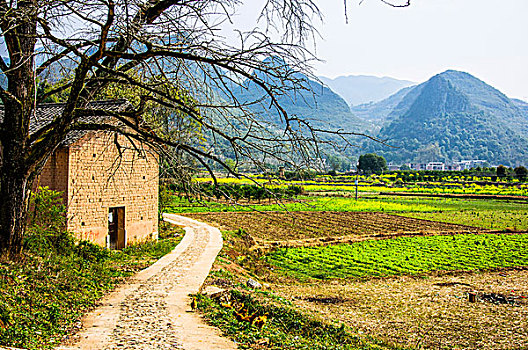 xs gia lai hom nay