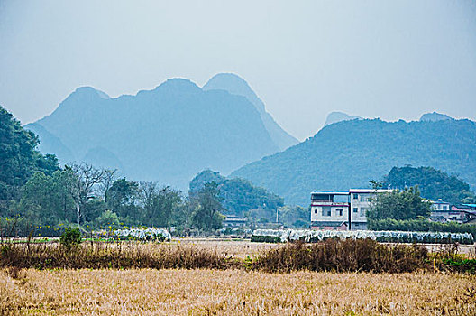 soi cau xsmb 366