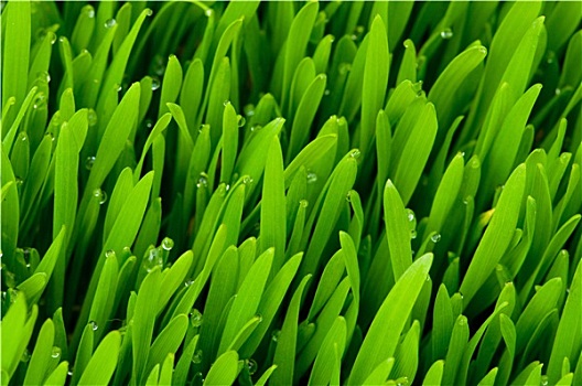 giờ vàng chốt số miền bắc hôm nay