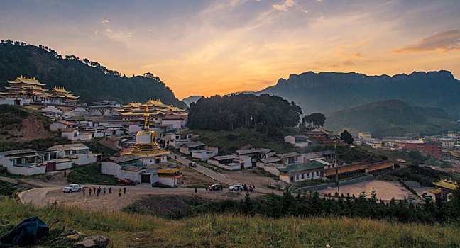 soi cau thuan vu