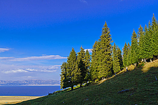 lo khung rong bach kim