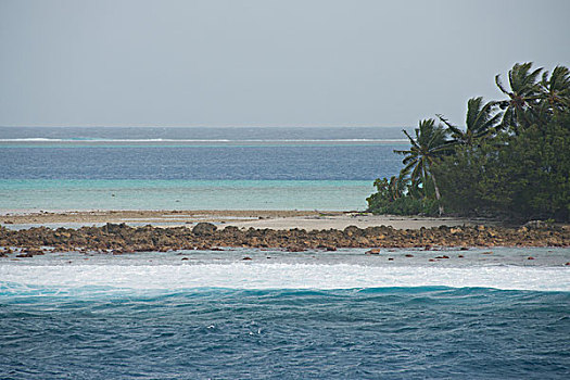 soi cau bac