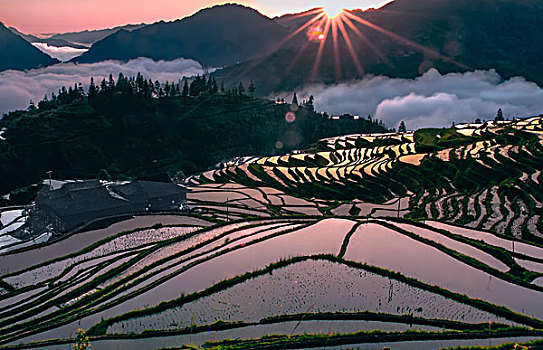 dàn đề miền nam