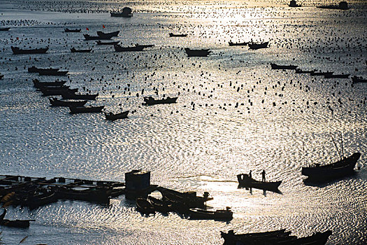 dự đoán xsmb