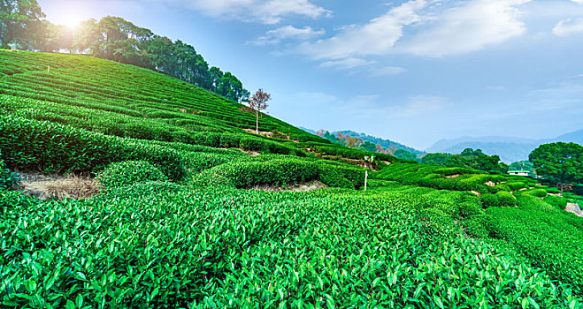 xổ số đài