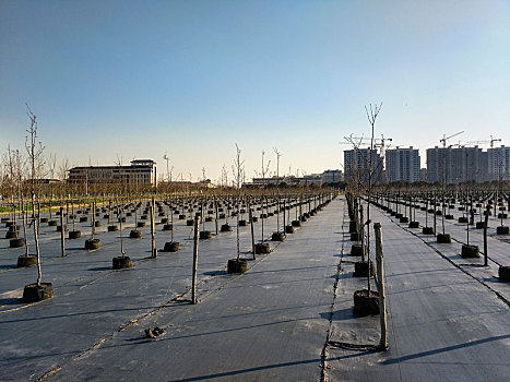 xổ số thành phố thứ bảy