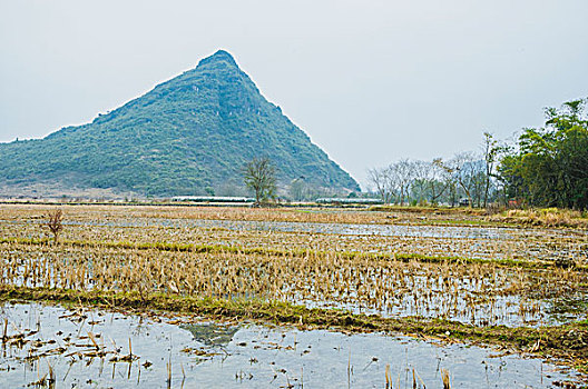 xsmb hom nay minh ngoc