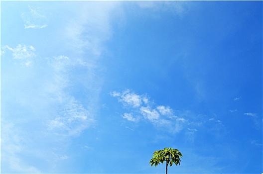 xsmb chu nhat hang tuan minh ngoc