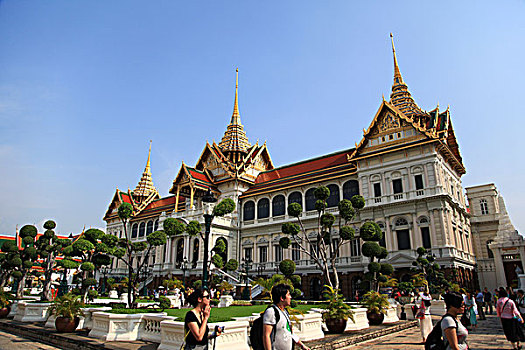 soi cau bach thu hom nay
