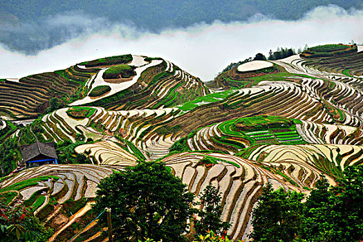 dàn đề miền bắc hôm nay