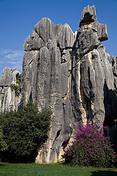 xổ số vũng tàu