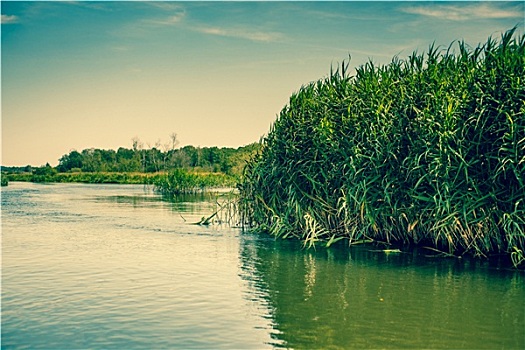 thống kê xổ số