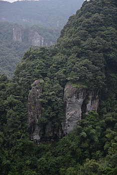 soi cau m trung