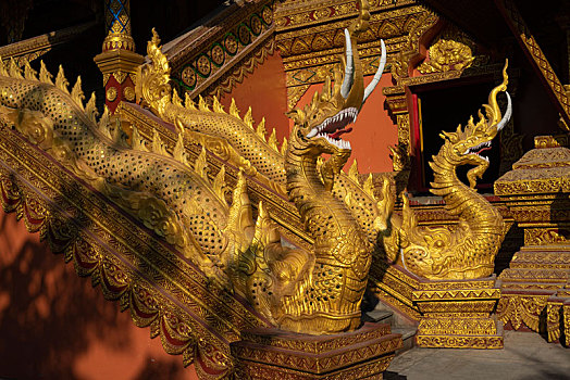 soi cau rong bach kim 2 nhay