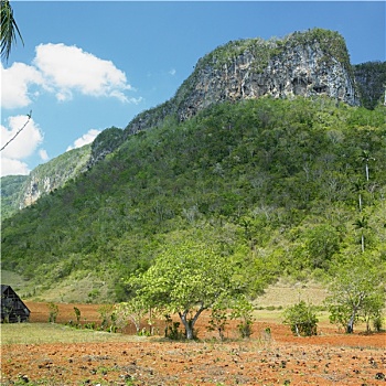 soi cầu lô xiên 2
