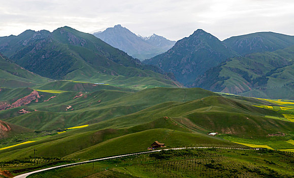 soi lo de bach thu hom nay