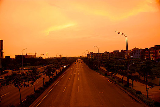 soi bach thu lo
