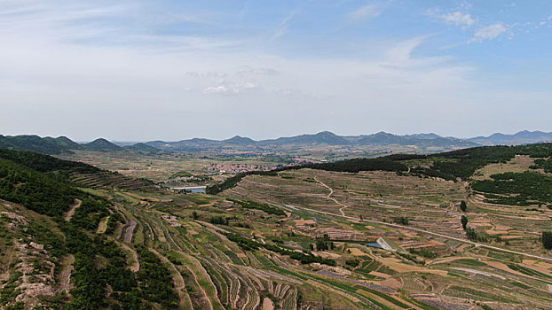 soi cau bach thu mien bac hom nay