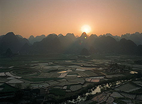 lô bach thu mien bac