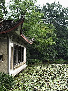 soi cầu lô dàn đề đẹp 10 số