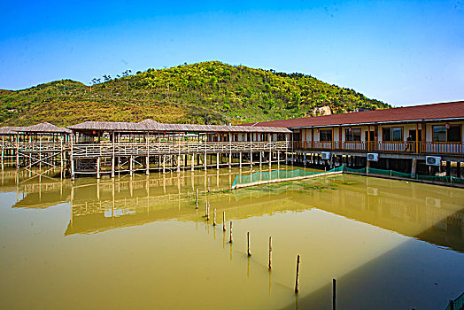 minh ngoc net