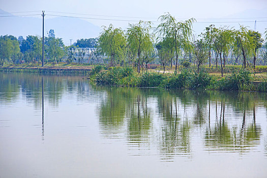 xsmb minh ngoc