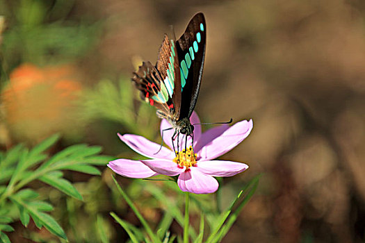 xổ số thứ 7