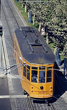 cau 888