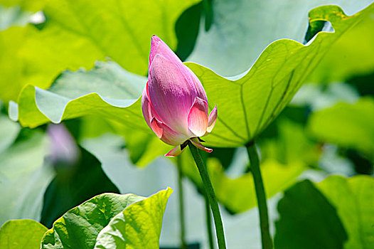 thống kê xổ số khánh hòa