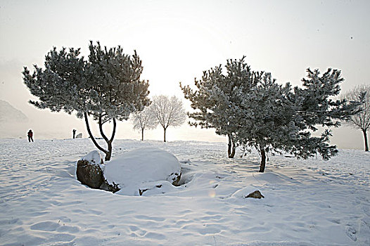 soi cầu ba miền