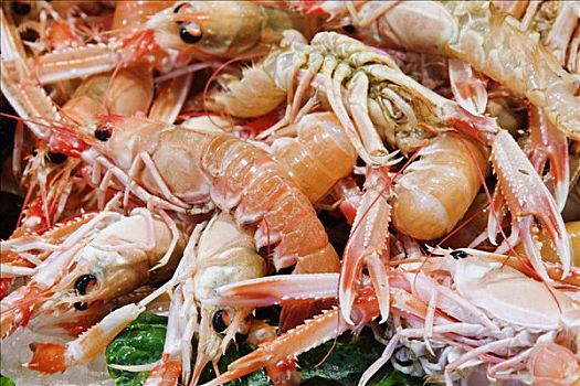 xổ số dự đoán miền bắc hôm nay