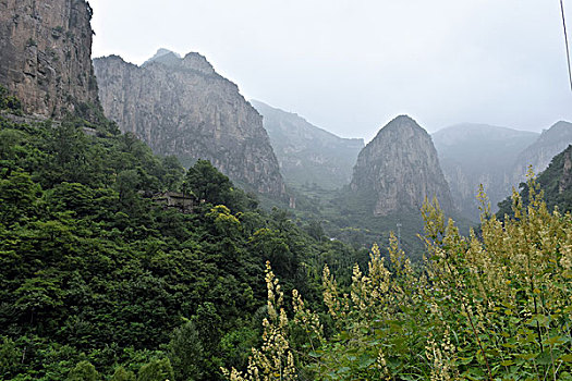 cau lo de mb