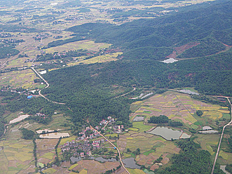 soi cau bach thu888