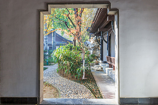 bạch thủ đề ngày mai