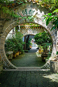 soi cau lo bach thu 3 ngay