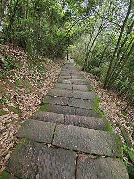 dự đoán xổ số